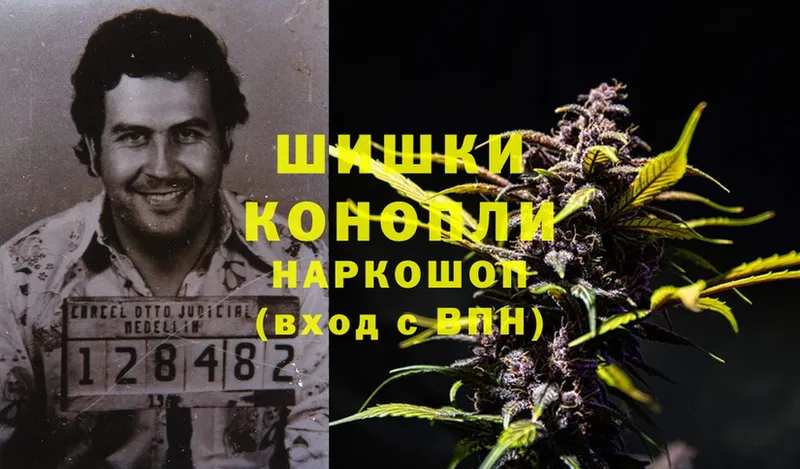 Бошки марихуана THC 21%  Краснокамск 